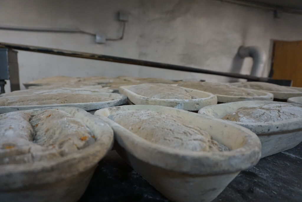 Zwiebelbrote im Gärkörbchen