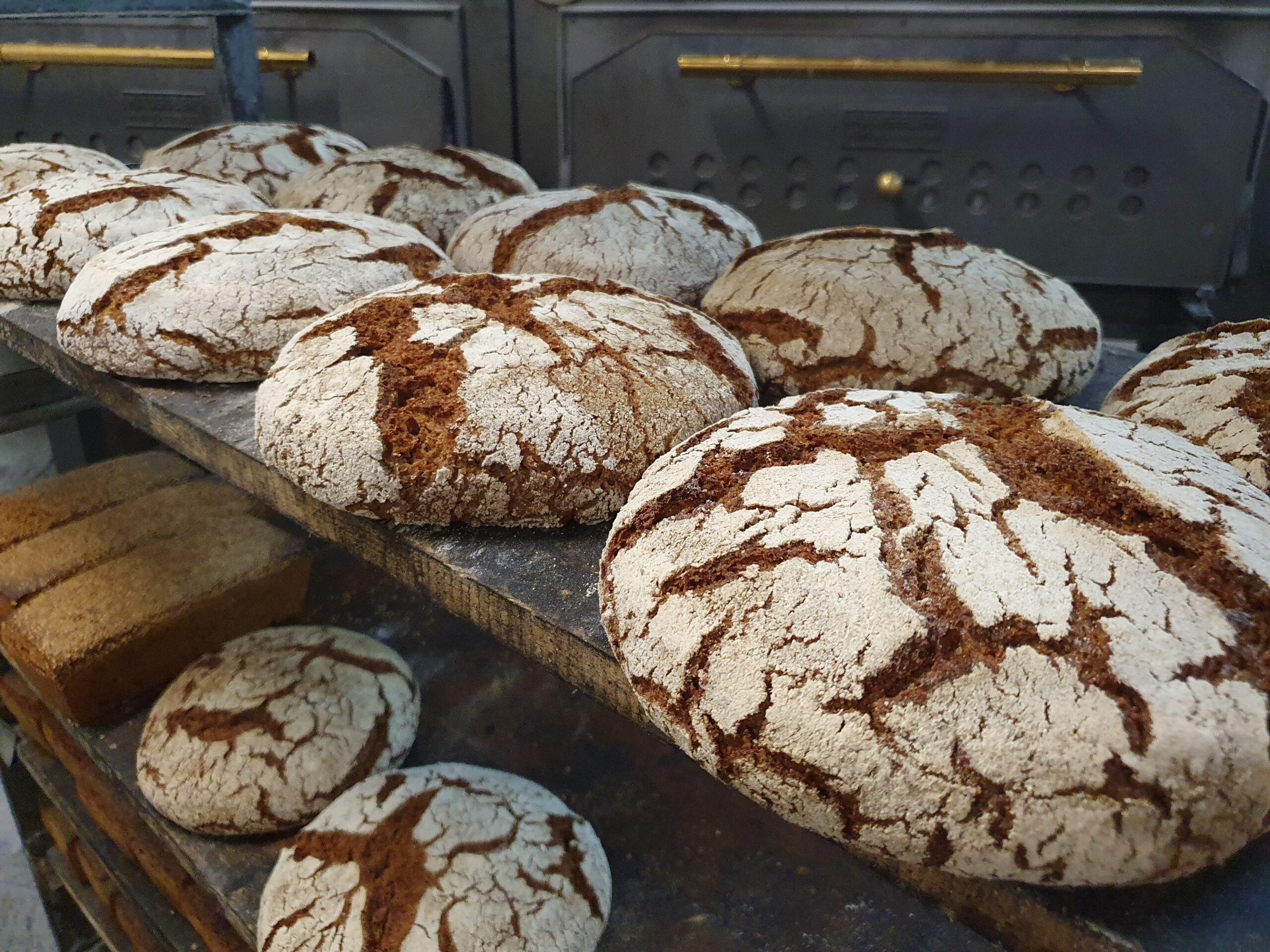 Schrotbrot im Januar